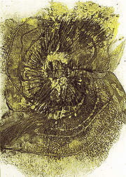 Bild 1: "Es ist meine Art, Blumen so zu zeichnen" (50er Jahre)  &mdash;  Bild 2: "Als ob die Blumen mir Modell w&auml;ren" (1959) 