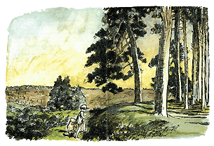  Christopher Robin und Pooh auf dem Weg zum ENCHANTED PLACE ... 