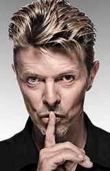 — DAVID BOWIE 1995 — — DAVID BOWIE 1995 —