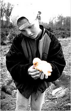  --- True Love --- 