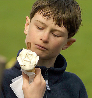  &bull;&bull;&bull;  ICE - CREAM!  &bull;&bull;&bull; 